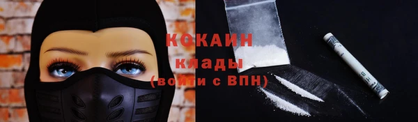 дживик Верхний Тагил