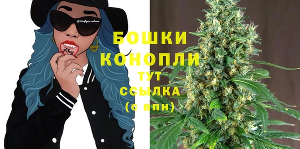 амф Верея