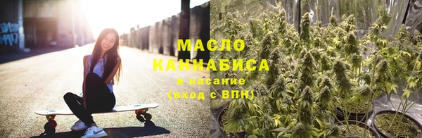 дживик Верхний Тагил