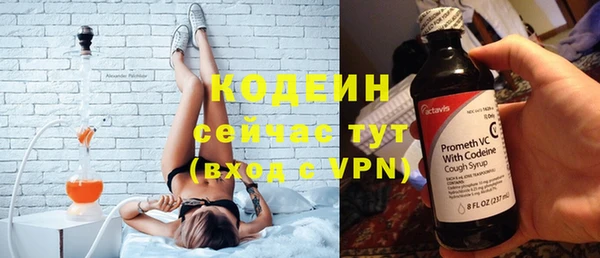 амф Верея